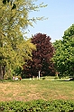 a 523